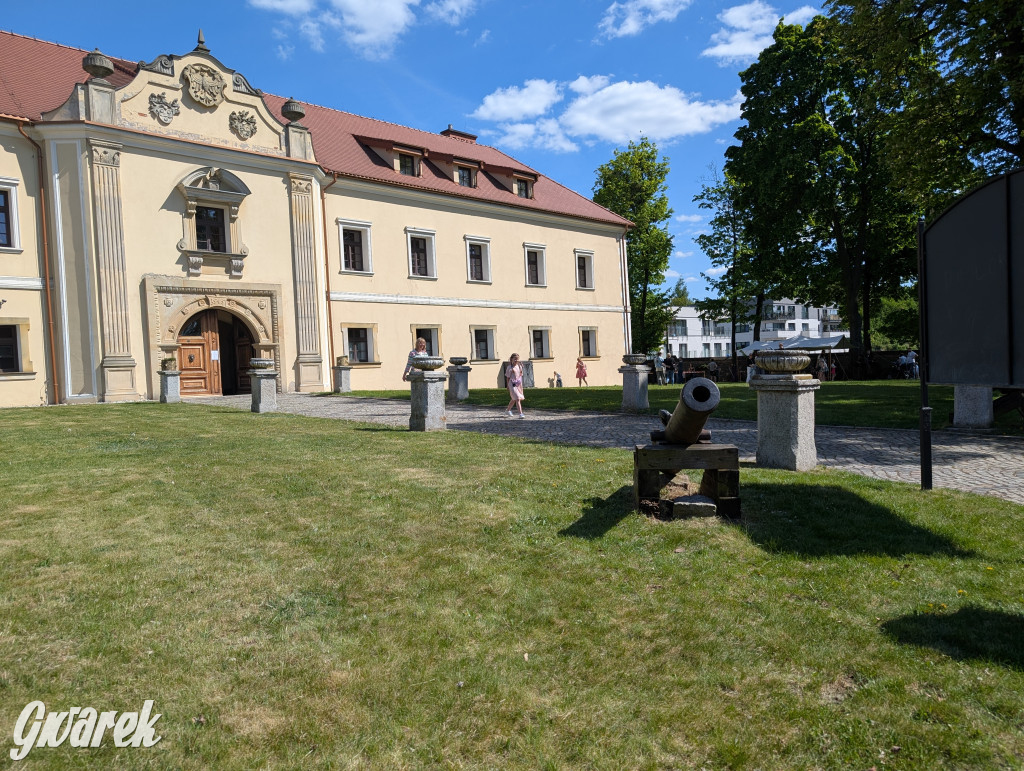 Mógł być hit. Rycerska Majówka w Starych Tarnowicach