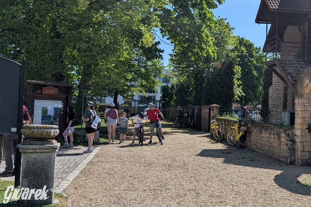 Mógł być hit. Rycerska Majówka w Starych Tarnowicach