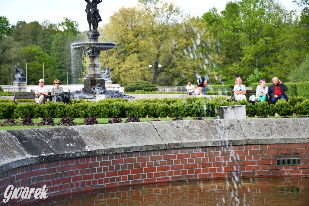 Świerklaniec. Relaks w parku, w tle TG Big Band