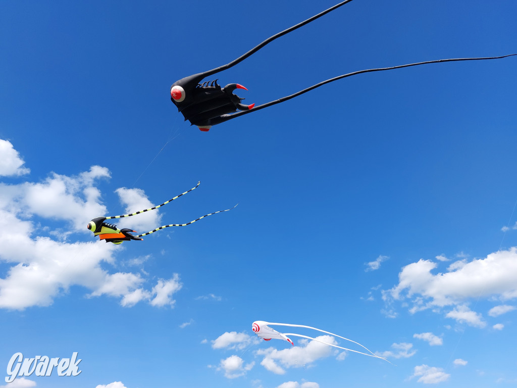 Piknik z latawcami pod Kopcem Wyzwolenia