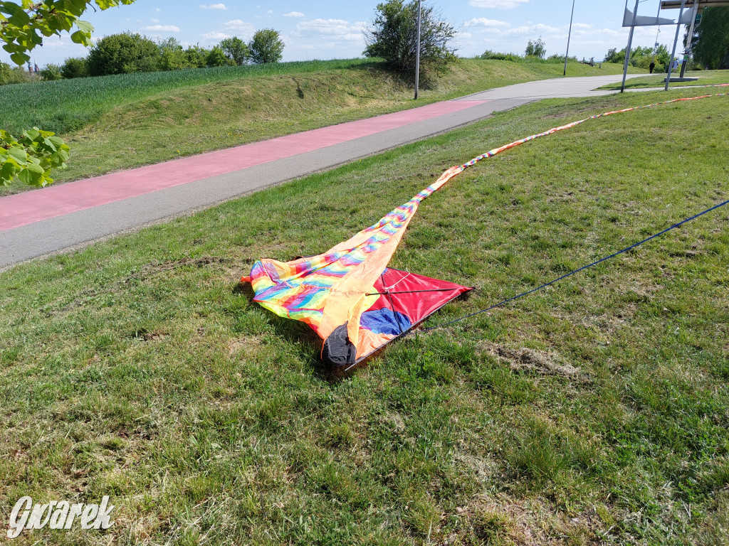 Piknik z latawcami pod Kopcem Wyzwolenia