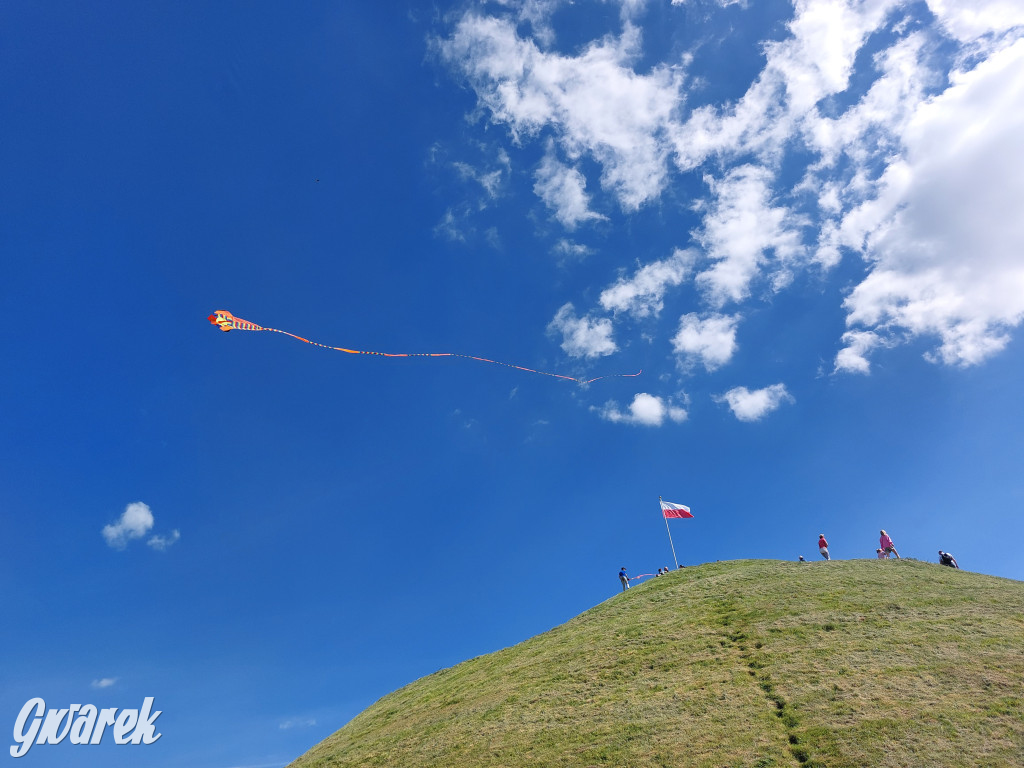 Piknik z latawcami pod Kopcem Wyzwolenia
