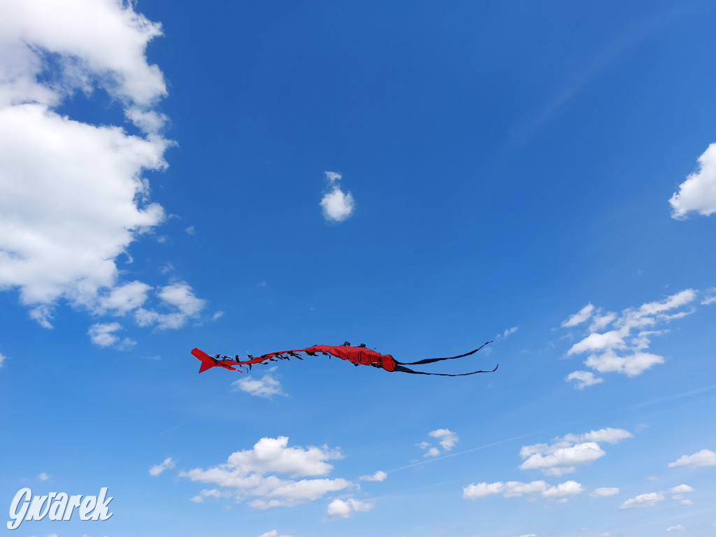 Piknik z latawcami pod Kopcem Wyzwolenia