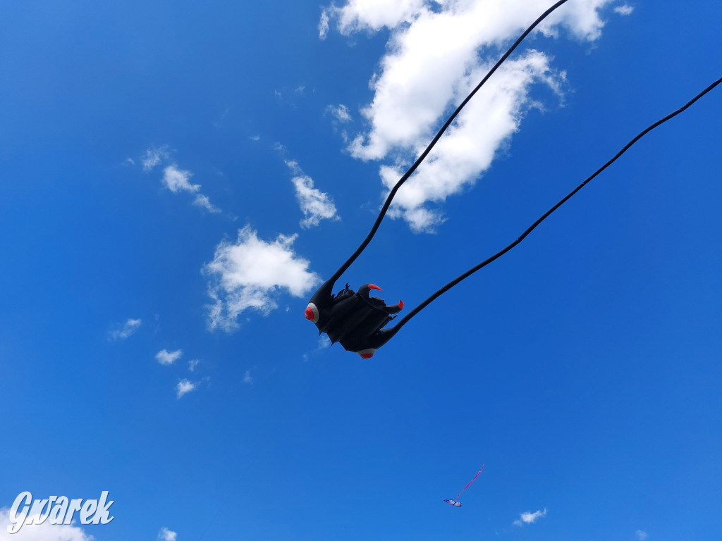 Piknik z latawcami pod Kopcem Wyzwolenia