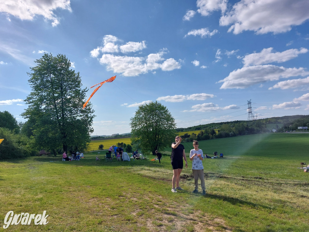Piknik z latawcami pod Kopcem Wyzwolenia
