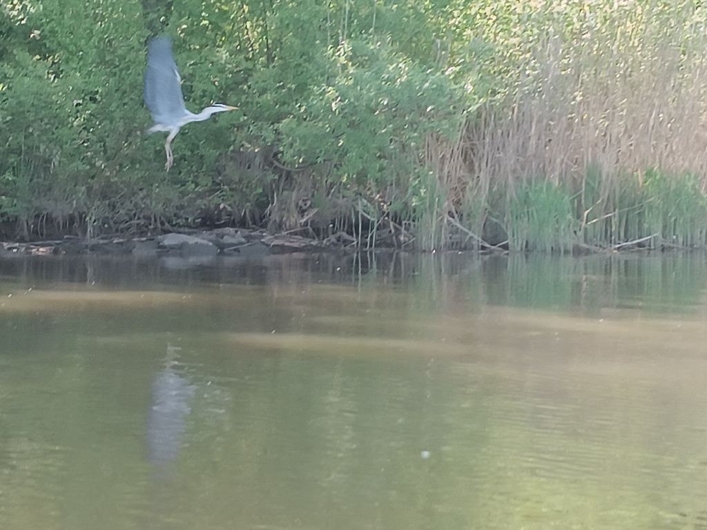 61 km wiosłowania jednego dnia, Bałtyk już bliżej
