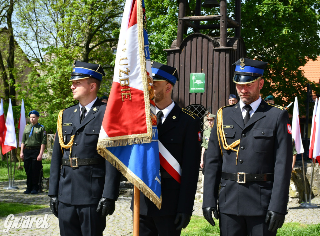 Świętowanie 3 Maja w Tarnowskich Górach