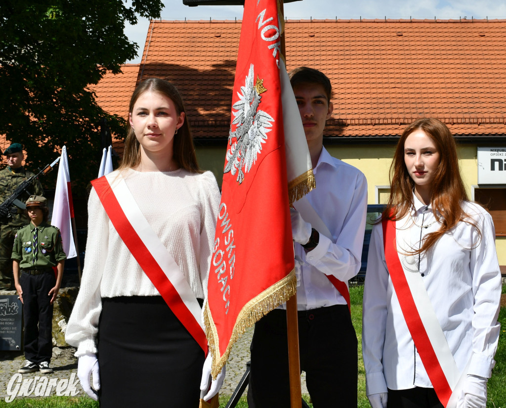 Świętowanie 3 Maja w Tarnowskich Górach
