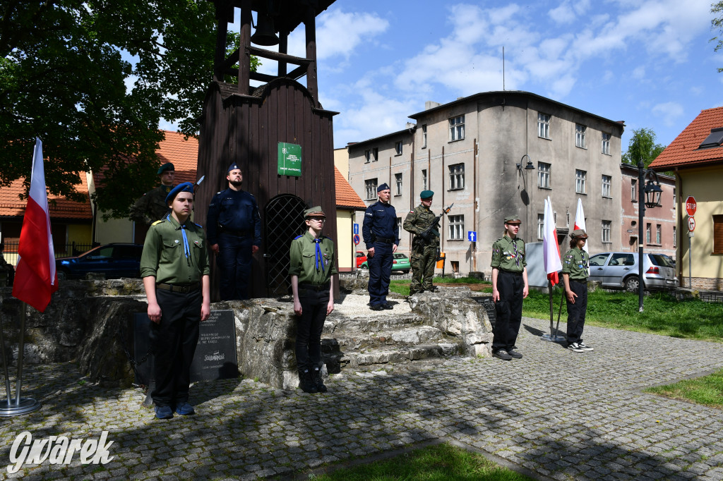 Świętowanie 3 Maja w Tarnowskich Górach