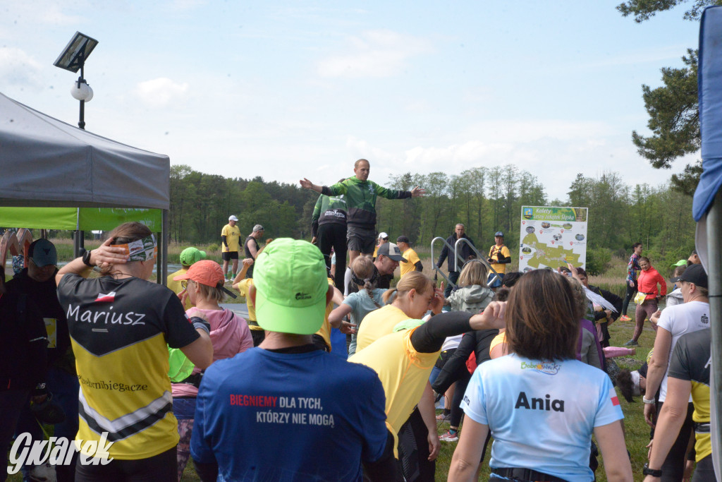 Kalety. Wings for Life 2025