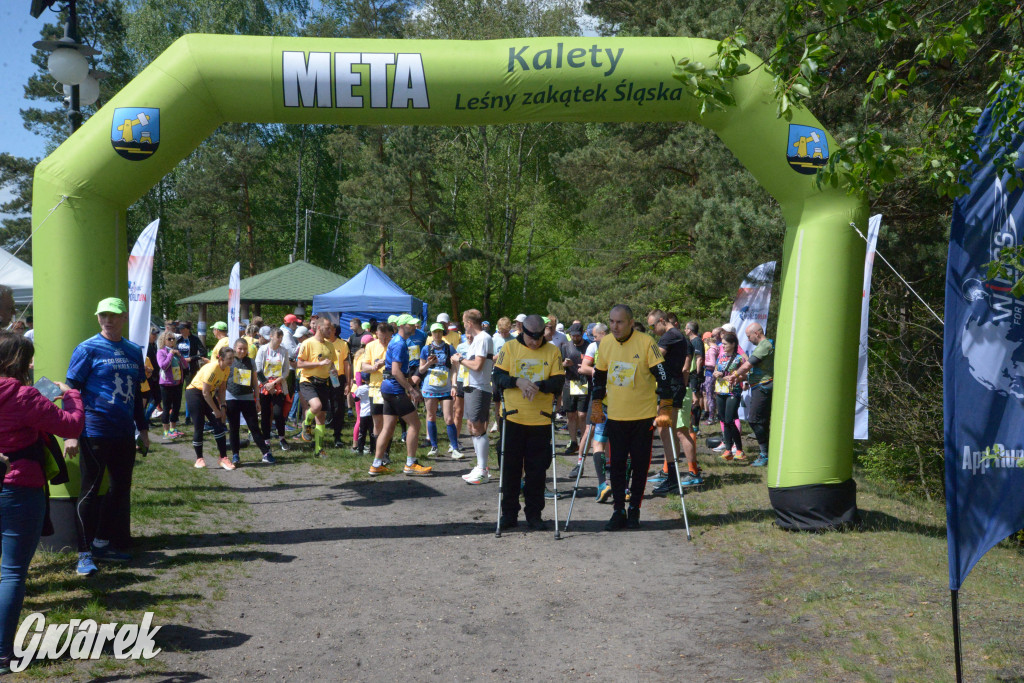 Kalety. Wings for Life 2025