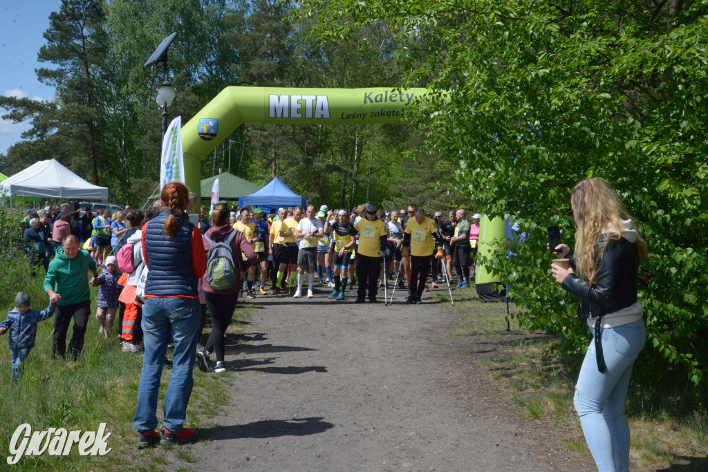 Kalety. Wings for Life 2025