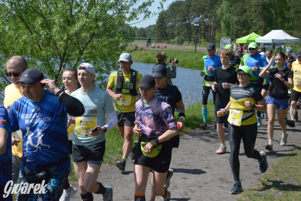 Kalety. Wings for Life 2025