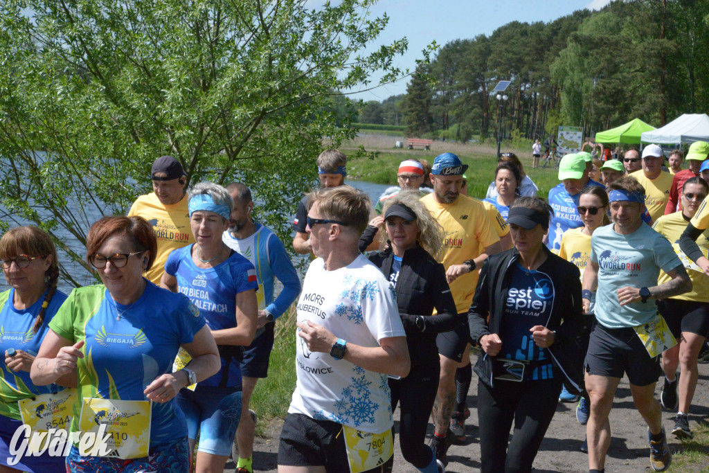 Kalety. Wings for Life 2025