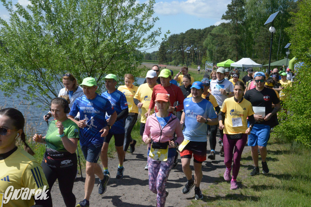 Kalety. Wings for Life 2025