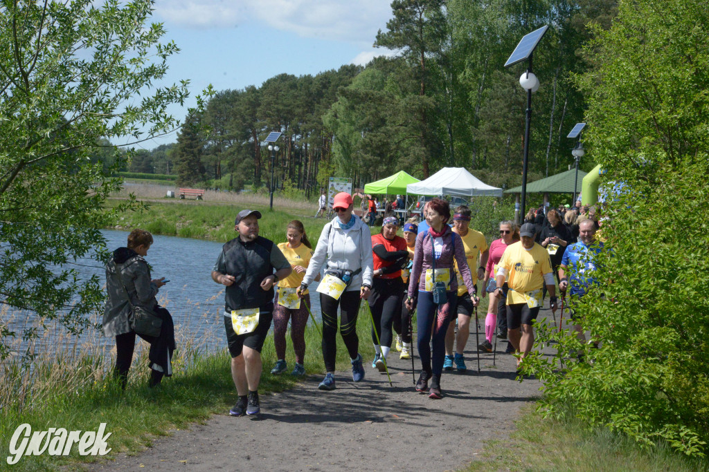 Kalety. Wings for Life 2025