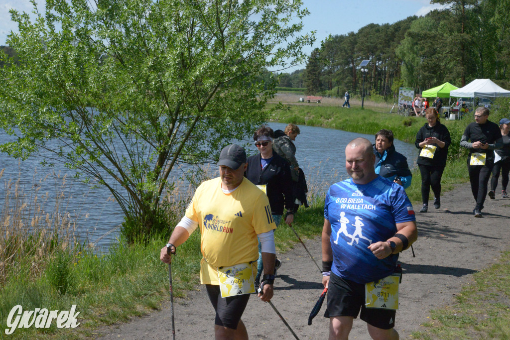 Kalety. Wings for Life 2025