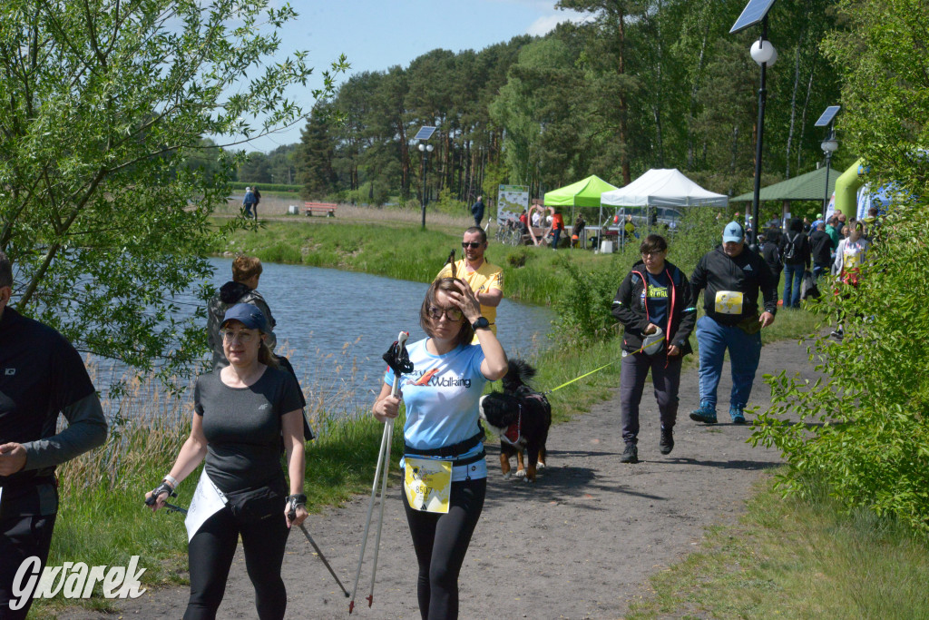 Kalety. Wings for Life 2025