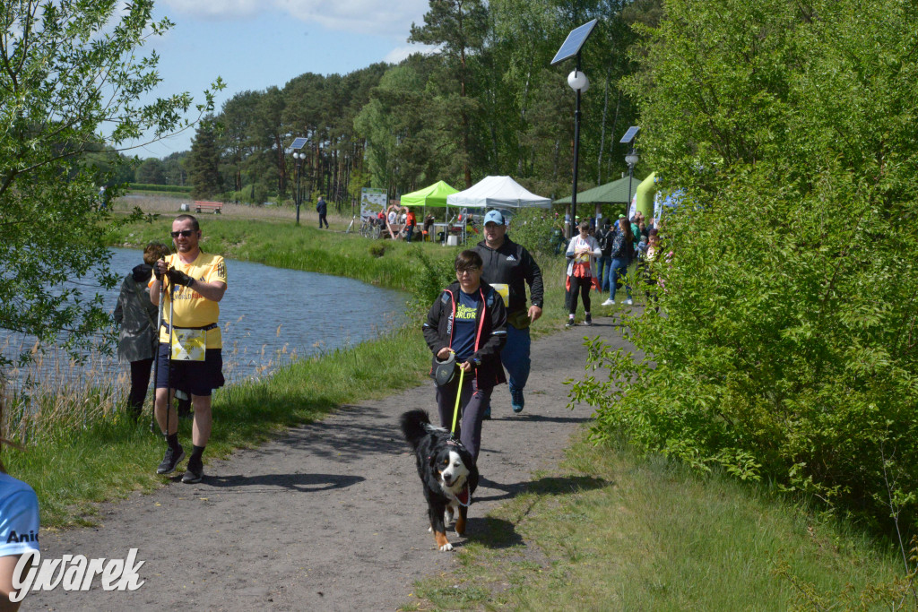 Kalety. Wings for Life 2025