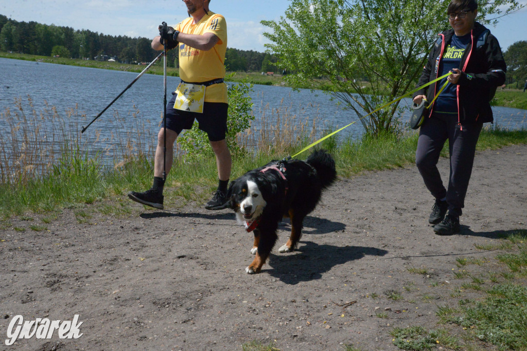 Kalety. Wings for Life 2025