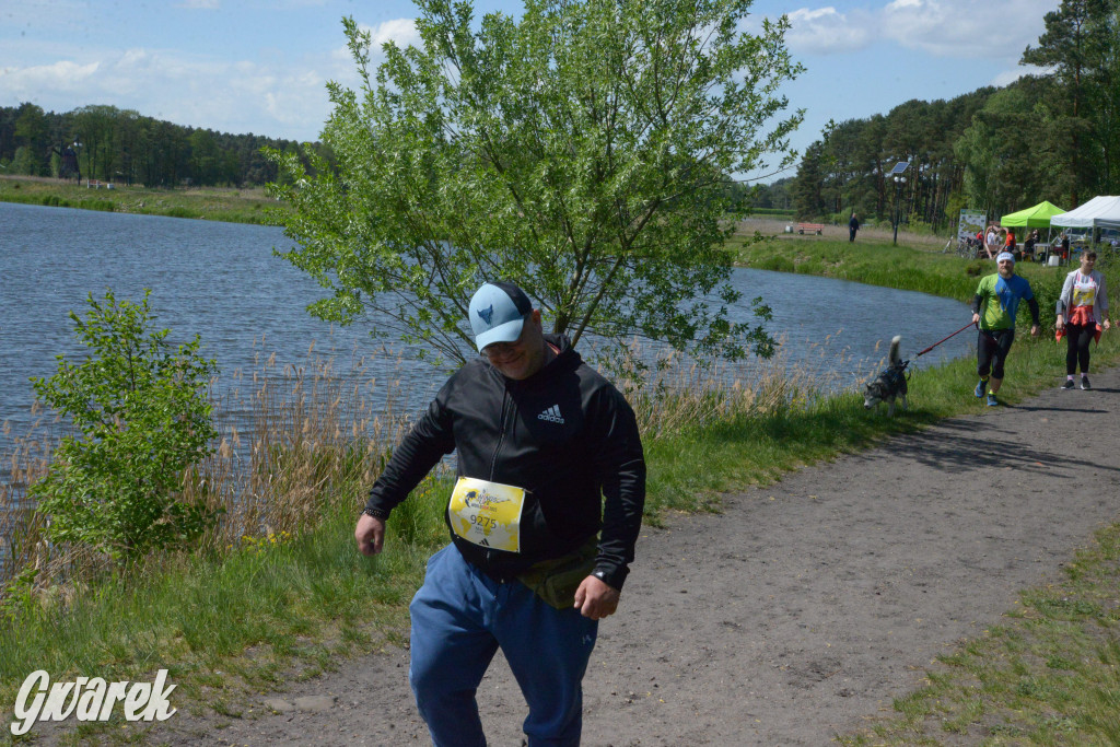 Kalety. Wings for Life 2025