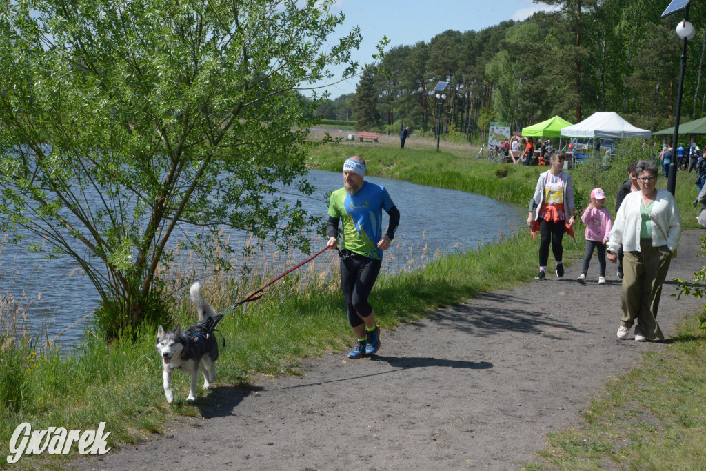 Kalety. Wings for Life 2025