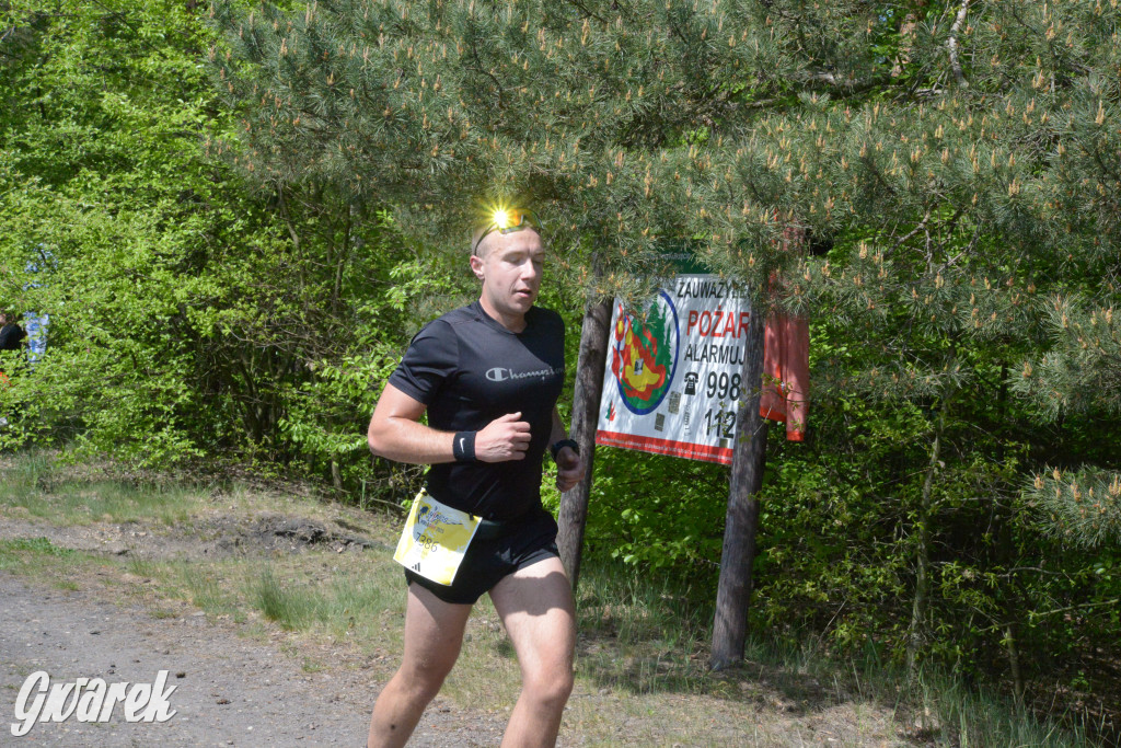 Kalety. Wings for Life 2025