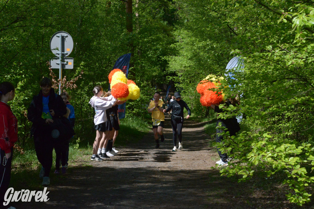 Kalety. Wings for Life 2025