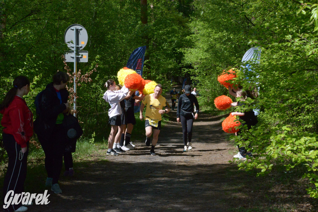 Kalety. Wings for Life 2025