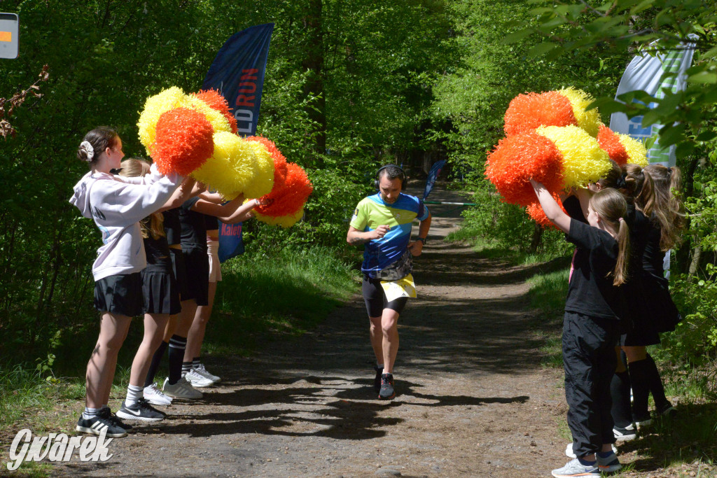 Kalety. Wings for Life 2025