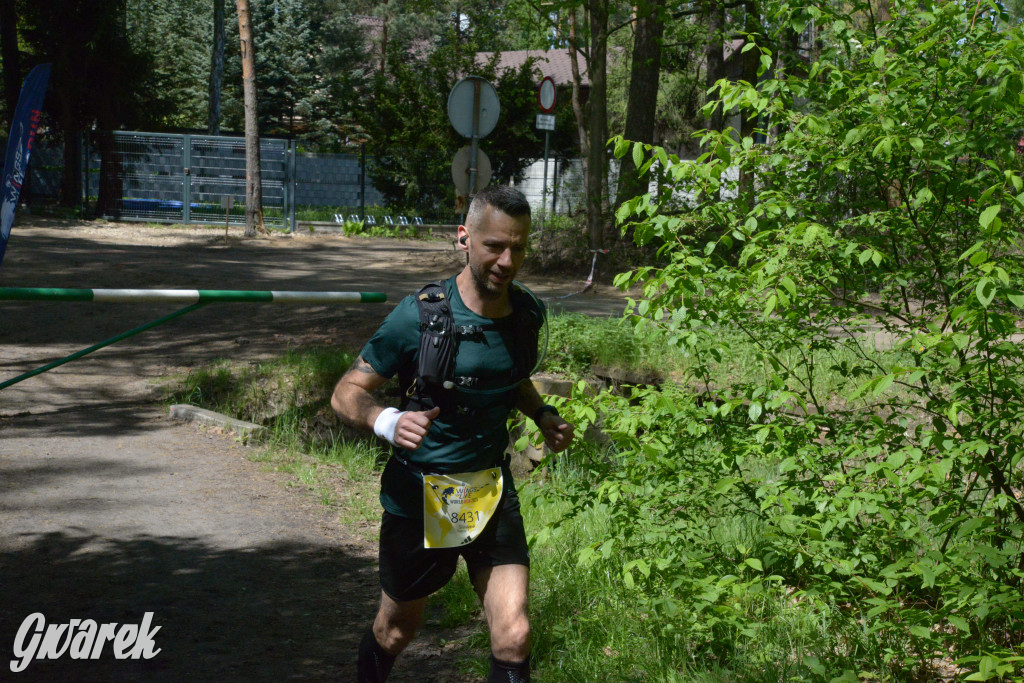 Kalety. Wings for Life 2025