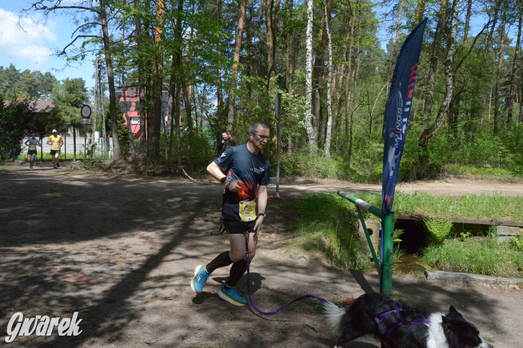 Kalety. Wings for Life 2025