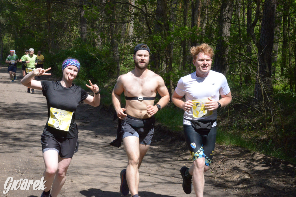 Kalety. Wings for Life 2025