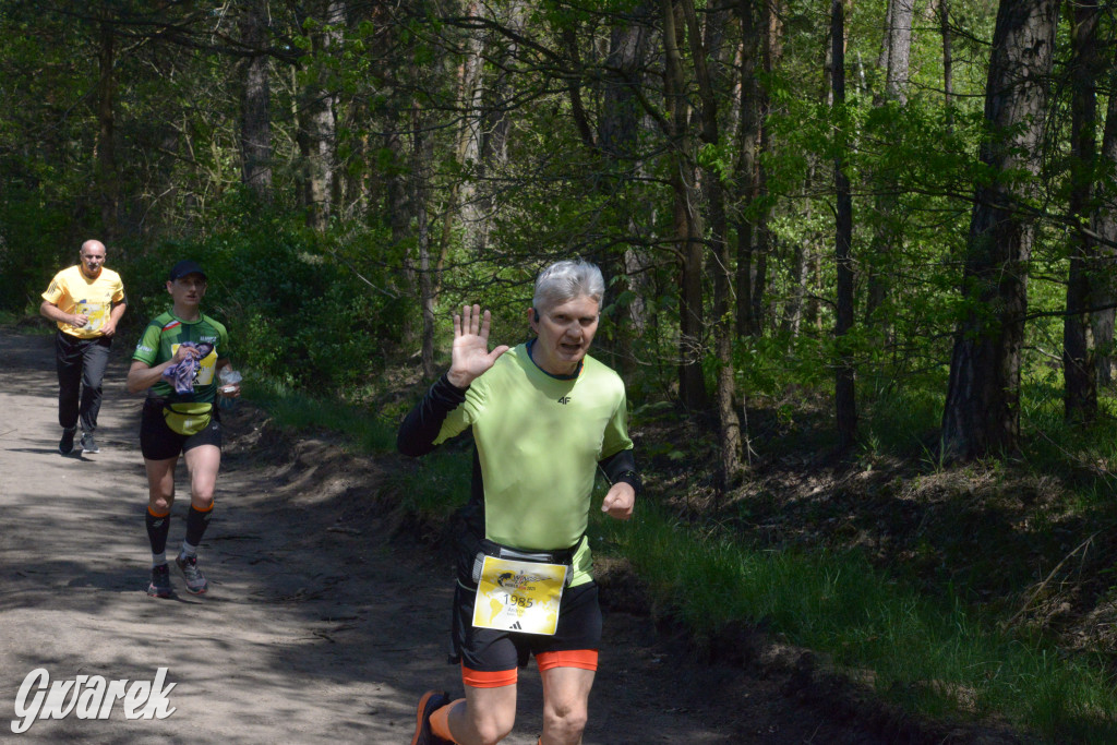 Kalety. Wings for Life 2025