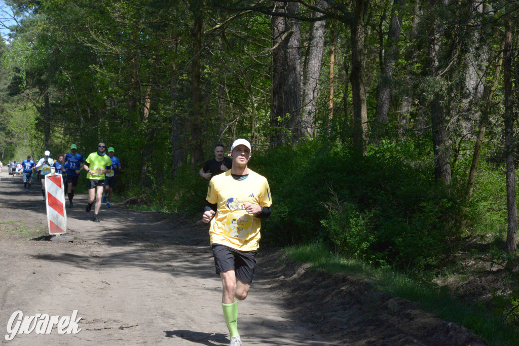 Kalety. Wings for Life 2025