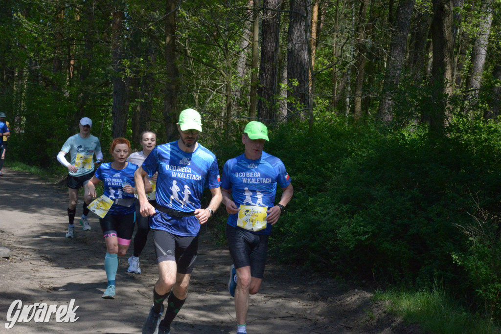 Kalety. Wings for Life 2025