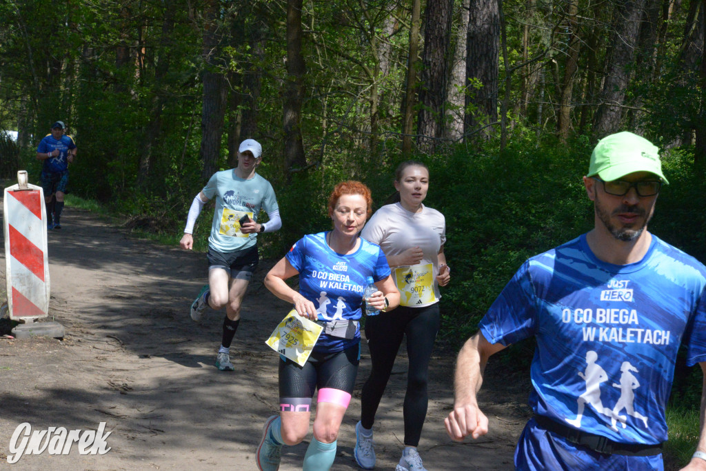 Kalety. Wings for Life 2025