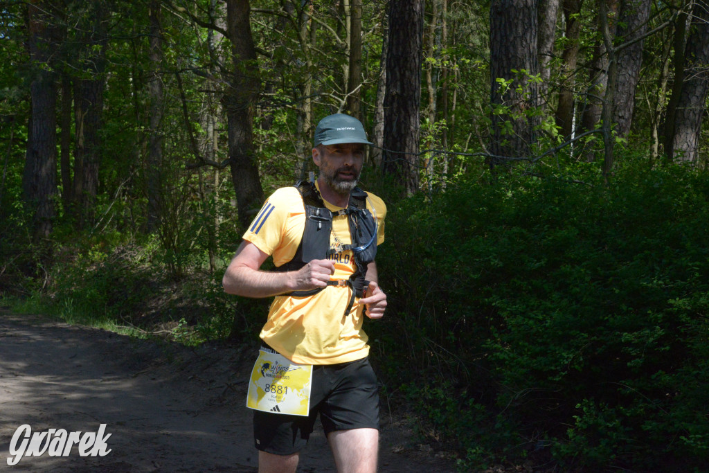 Kalety. Wings for Life 2025