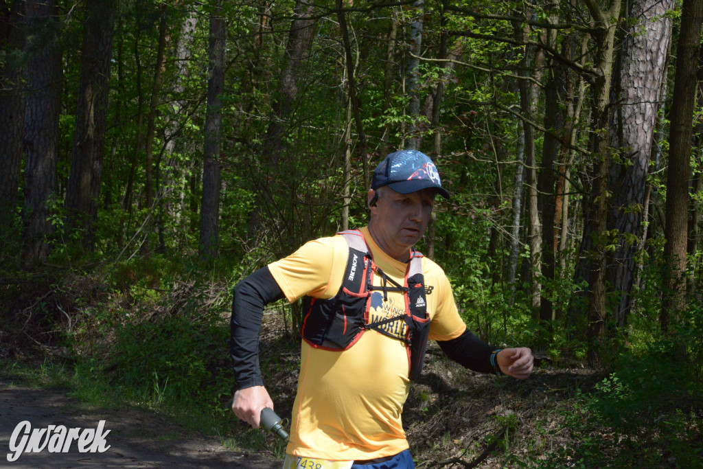 Kalety. Wings for Life 2025