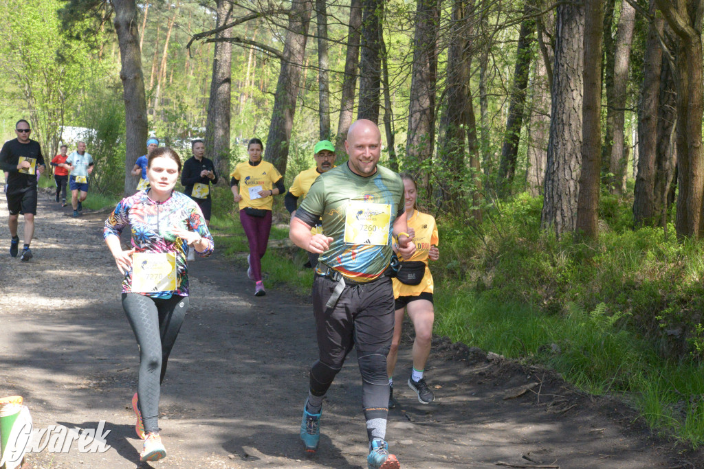 Kalety. Wings for Life 2025