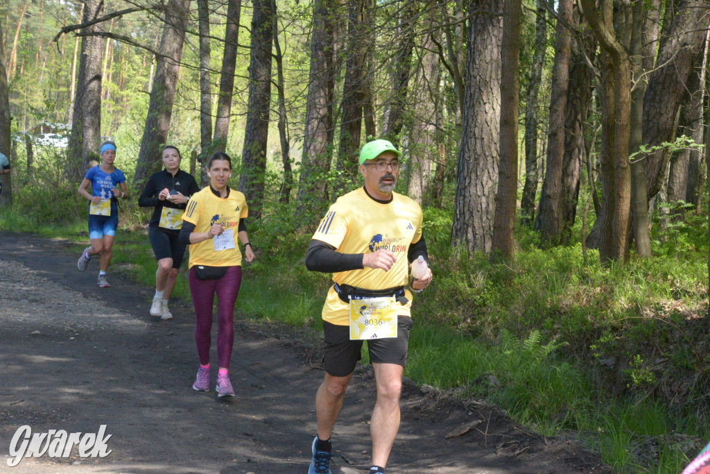 Kalety. Wings for Life 2025