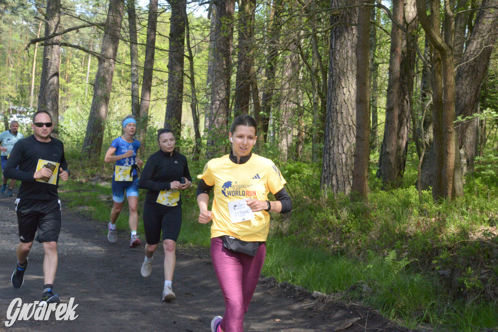 Kalety. Wings for Life 2025