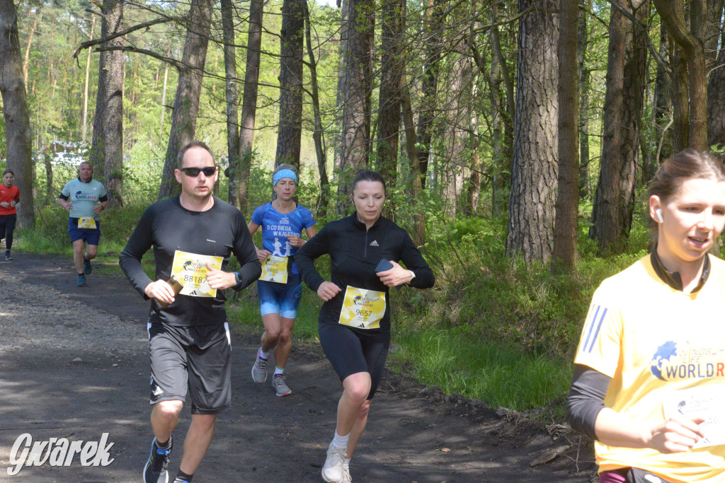 Kalety. Wings for Life 2025