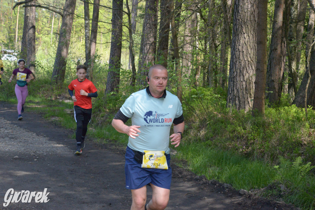 Kalety. Wings for Life 2025