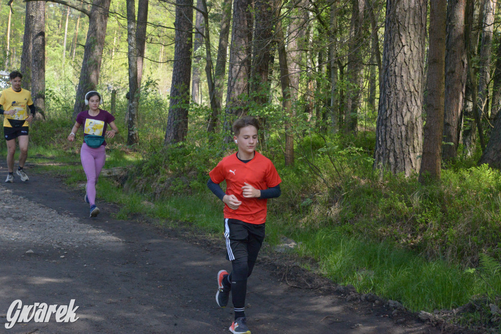 Kalety. Wings for Life 2025