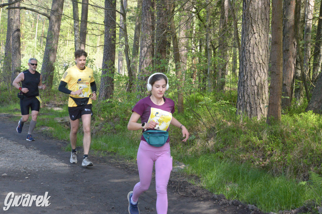 Kalety. Wings for Life 2025