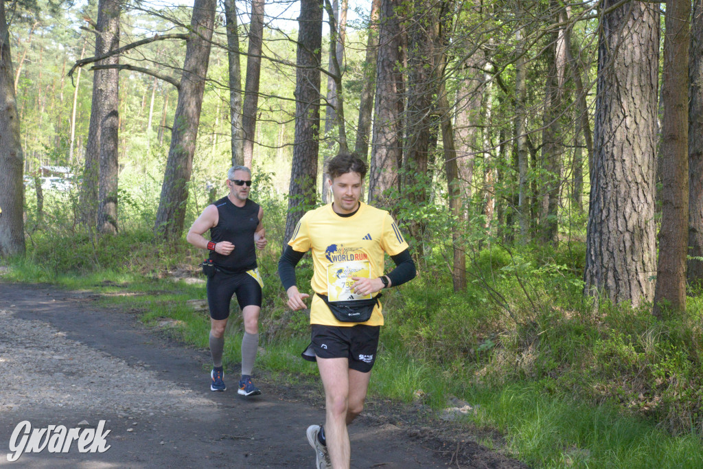 Kalety. Wings for Life 2025