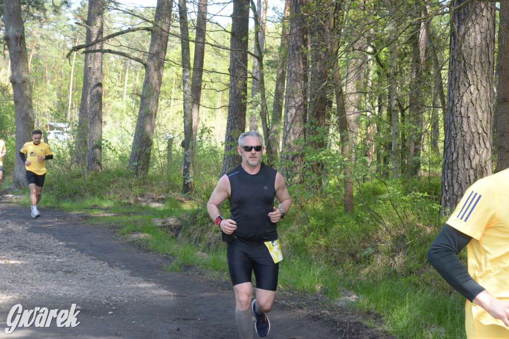 Kalety. Wings for Life 2025