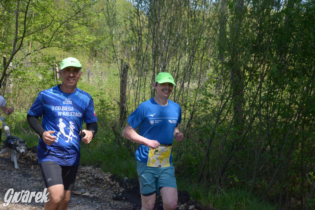 Kalety. Wings for Life 2025