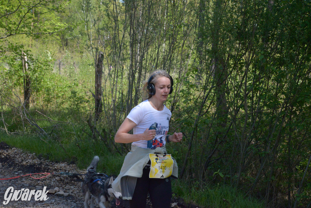 Kalety. Wings for Life 2025